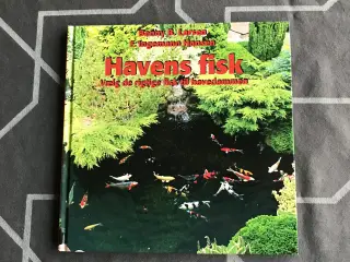 Havens fisk - Vælg de rigtige fisk til havedammen