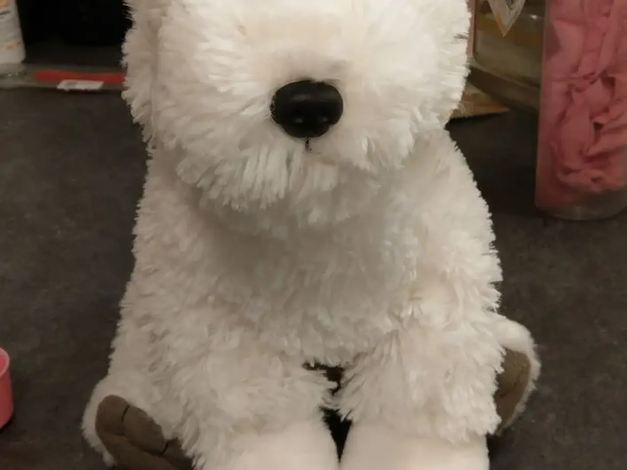 Billede 2 - Westie toyboy/girl