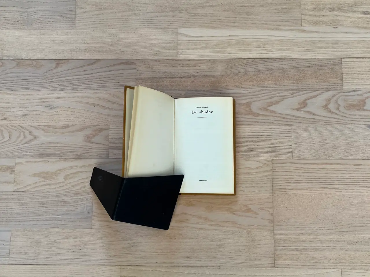 Billede 2 - De ubudne - af Dorothy Macardle