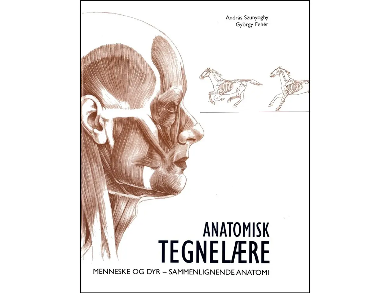 Billede 1 - Anatomisk Tegnelære - Menneske og dyr