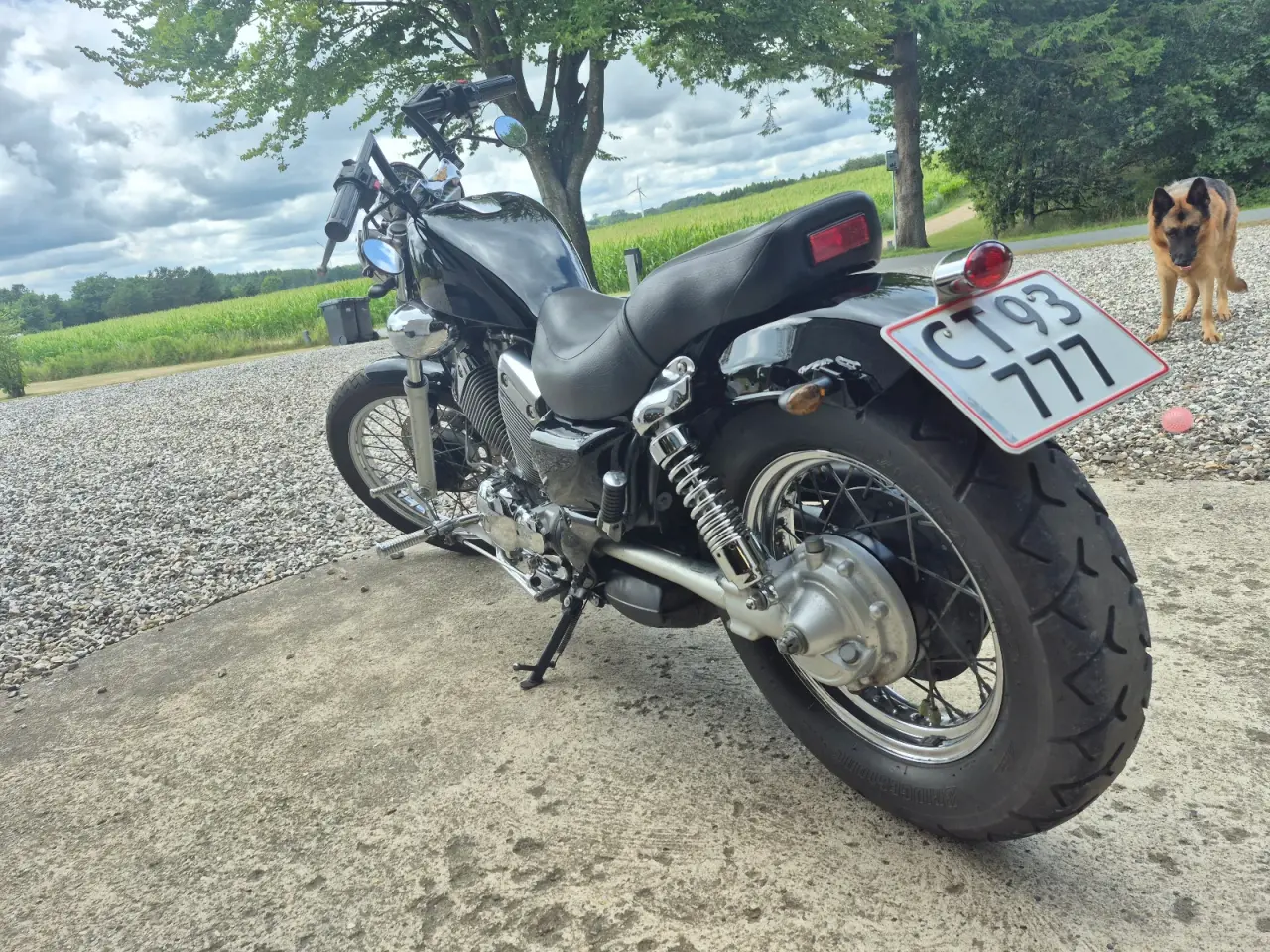 Billede 4 - Yamaha Virago XV535