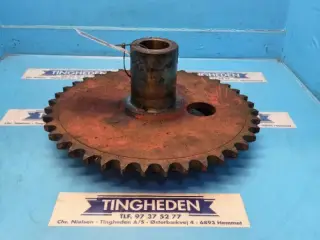 Hesston 4900 Gearhjul 700113329