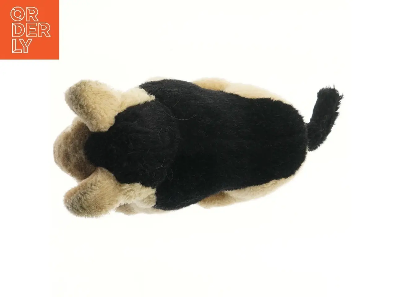 Billede 3 - Schæferhund Bamse