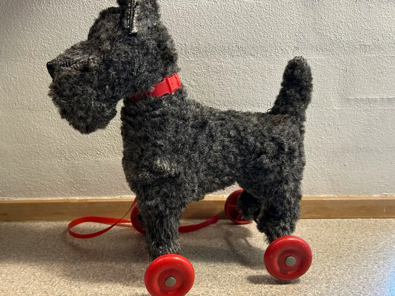 Billede 2 - Skotsk Terrier trækkehund