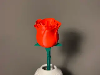 Rose Rød