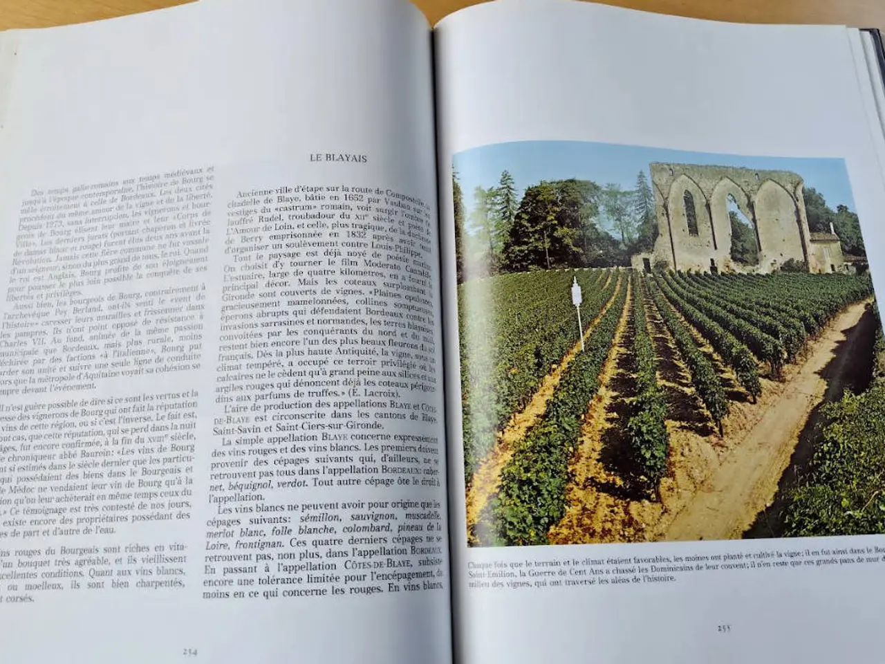 Billede 6 - Encyclopaedie des Vin de France