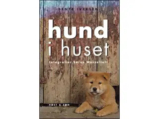 Hund i Huset