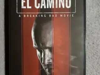 El camino