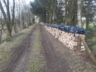 Løvtræ Brænde