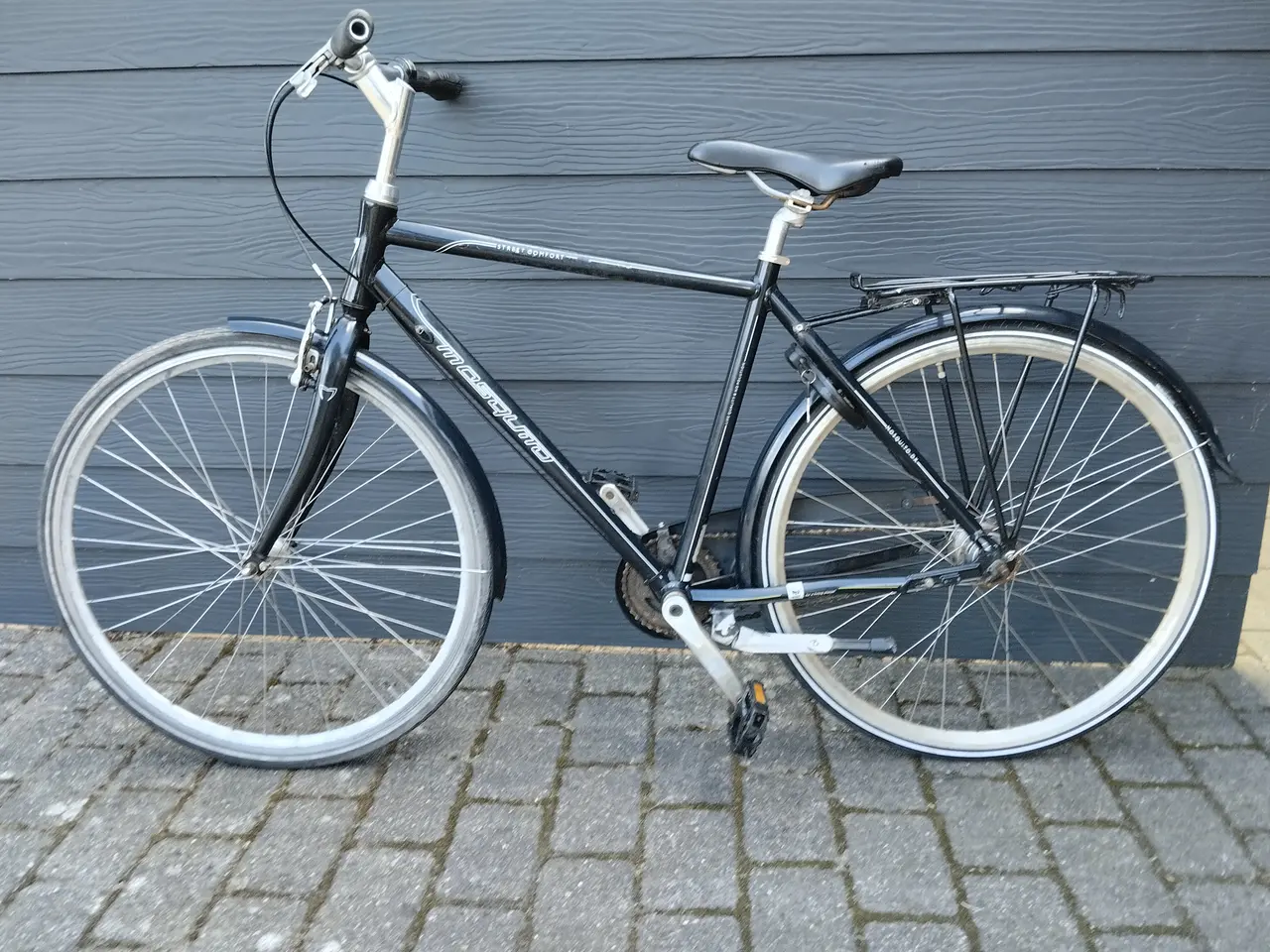 Billede 1 - Herre Mosquito