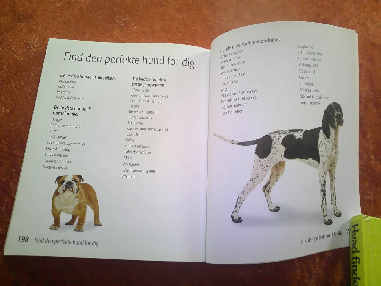 Billede 3 - Find din hund, Chas Newkey-Burden