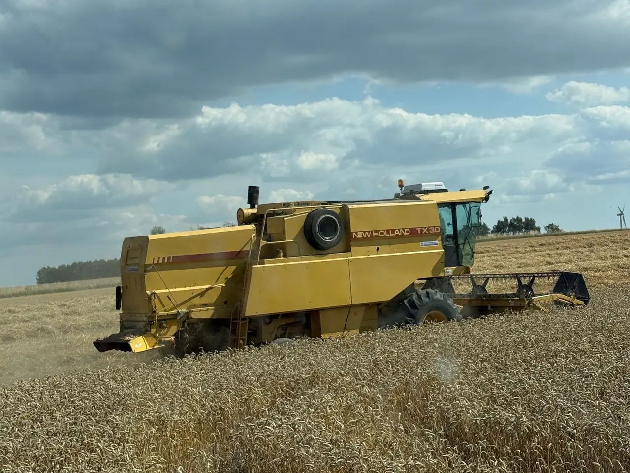 Billede 6 - New Holland TX30 Mejetærsker