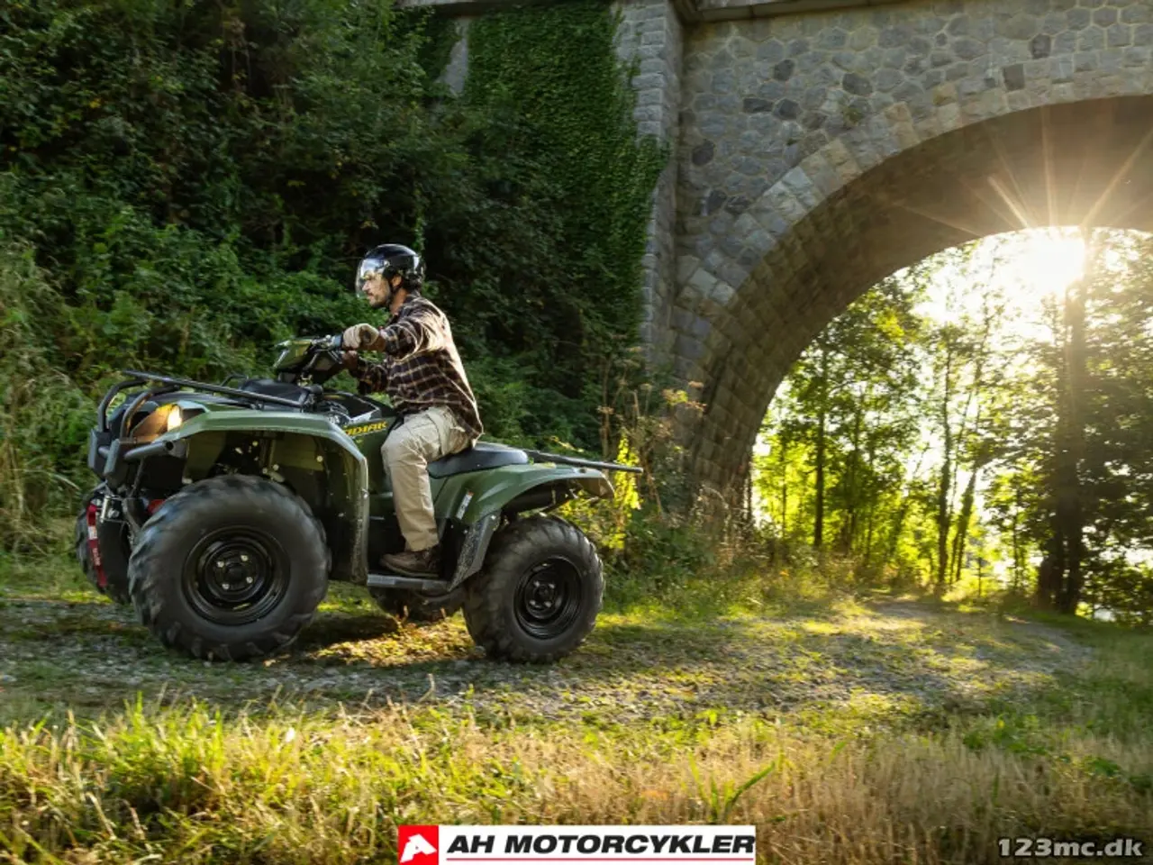 Billede 11 - Yamaha Kodiak 700 EPS STD