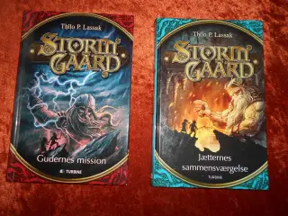 Stormgaard, Thilo P. Lassak, 