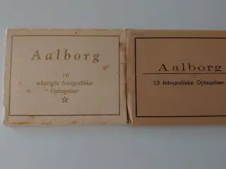 2 stk fotomapper fra Aalborg. Ialt 22 billeder.
