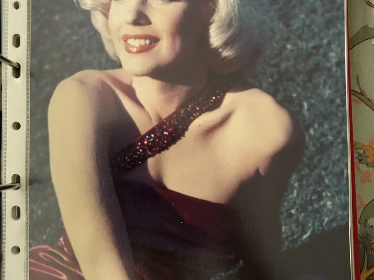 Billede 11 - Div. billeder fra idol kalender med Marilyn Monroe