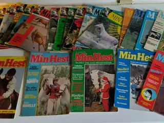 Kæmpe samling Wendy-Penny-Min hest mm