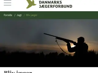 Jagt udstyr fra dødsbo eller bare i overskud