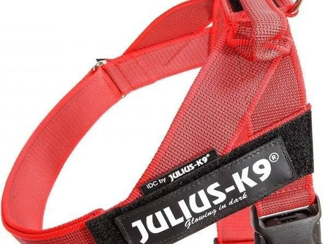 Billede 6 - Masser af ting til både den lille og store hund