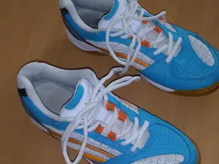 Sportssko 