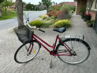 Køreklar Raleigh dame cykel