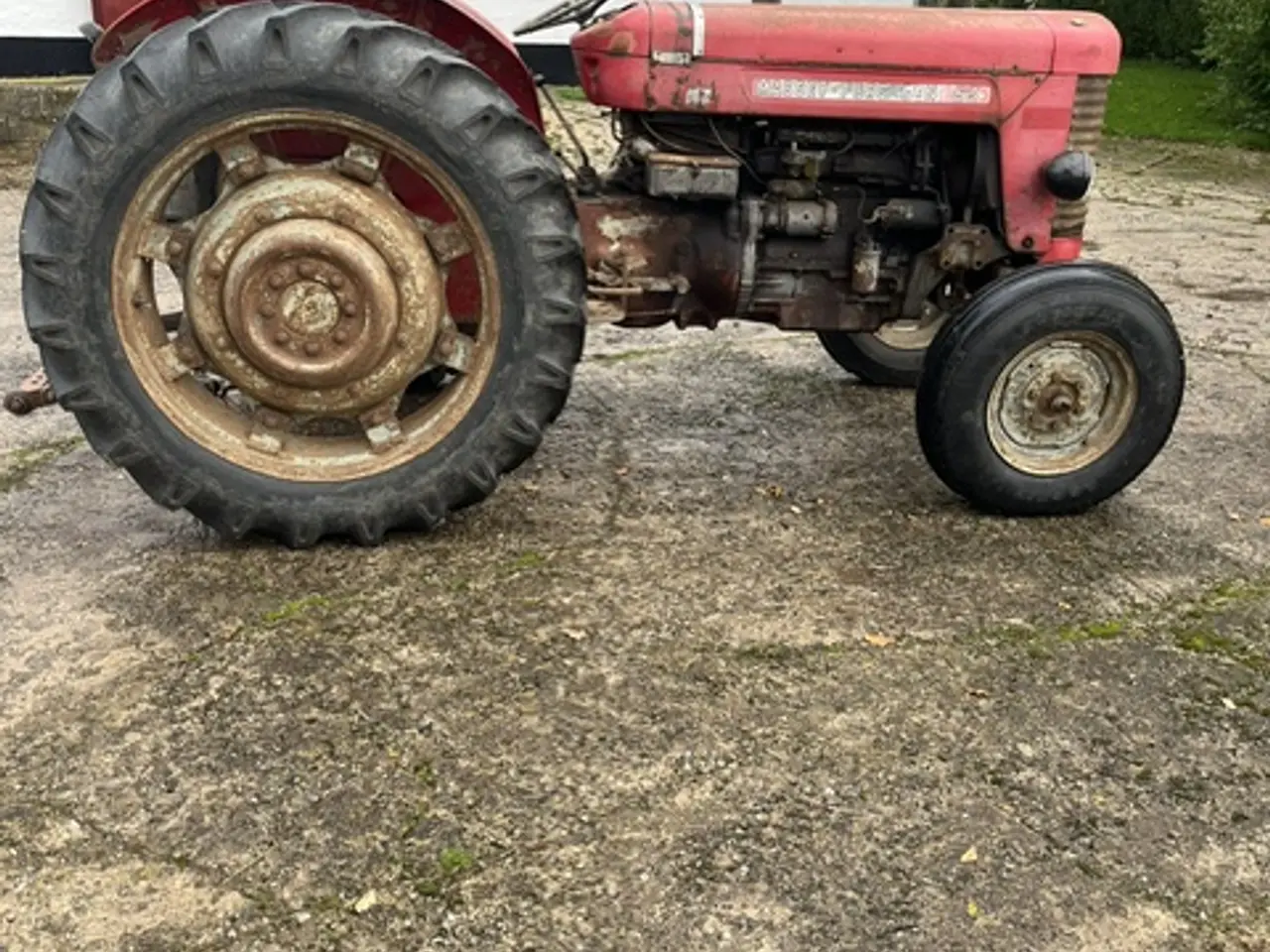 Billede 1 - Massey Ferguson 65