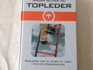 Sådan bliver du topleder