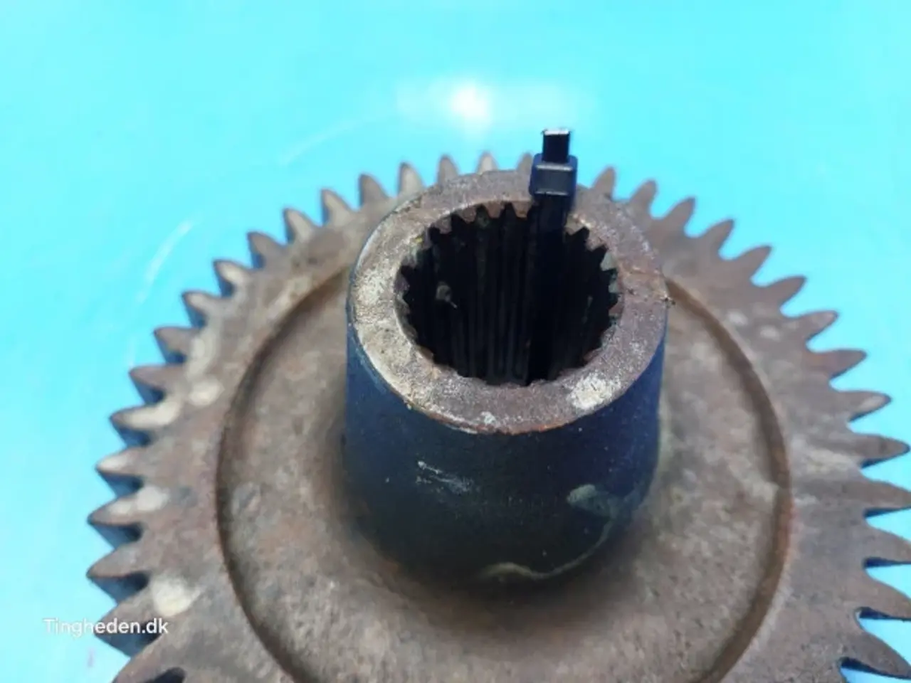 Billede 6 - New Holland 8970 Tandhjul 9840401