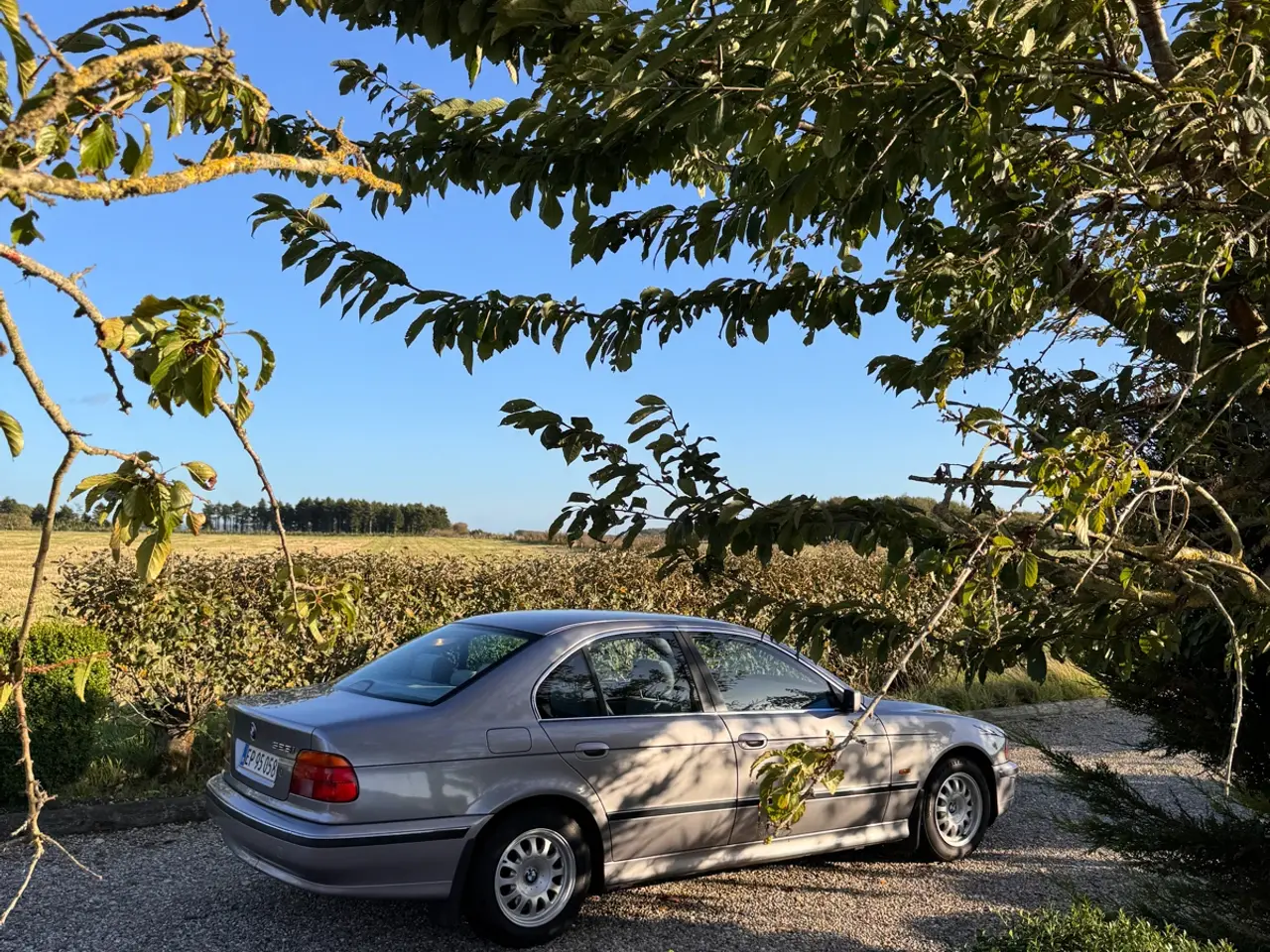 Billede 7 - BMW E39 1997