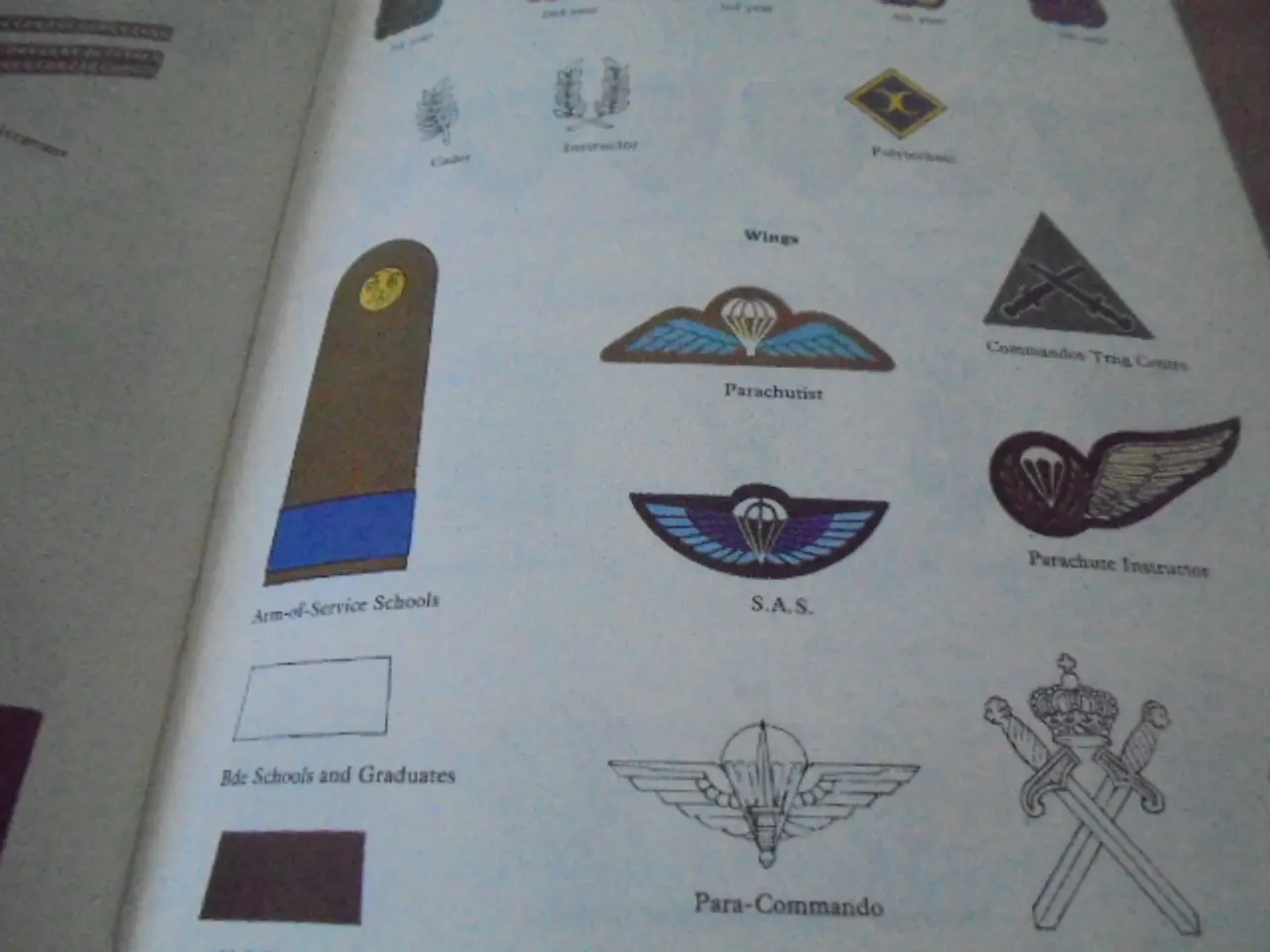 Billede 5 - Army Badges and Insignia since 1945 