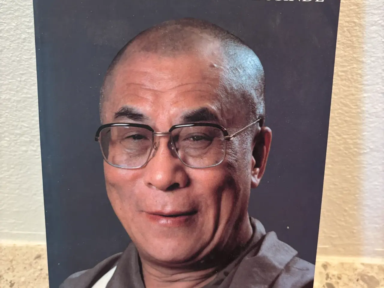 Billede 1 - Tanker for det nye årtusinde Dalai Lama