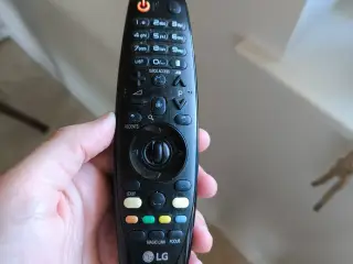 LG Magic Remote