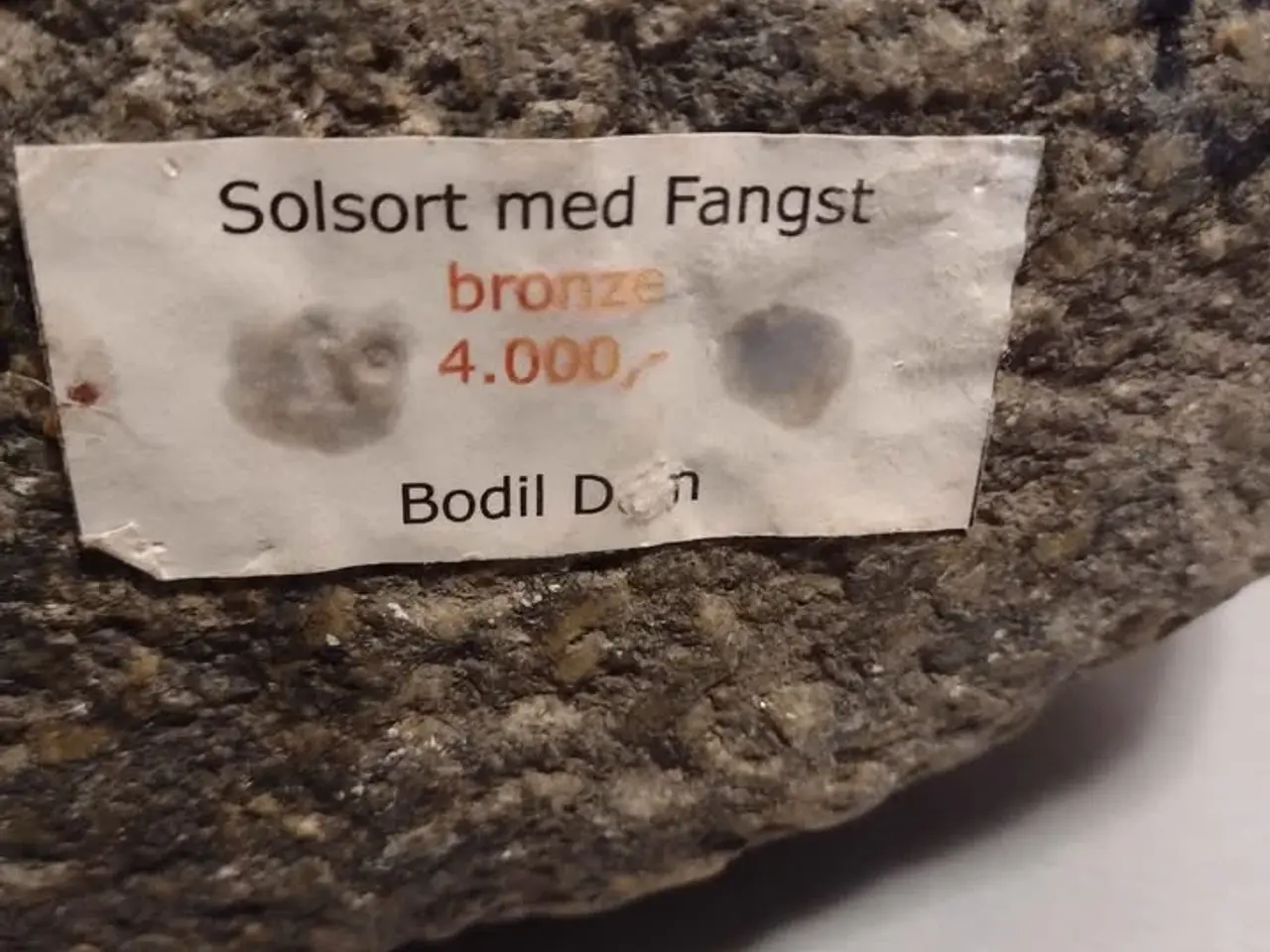 Billede 5 - solsort lavet af Bodil Dam