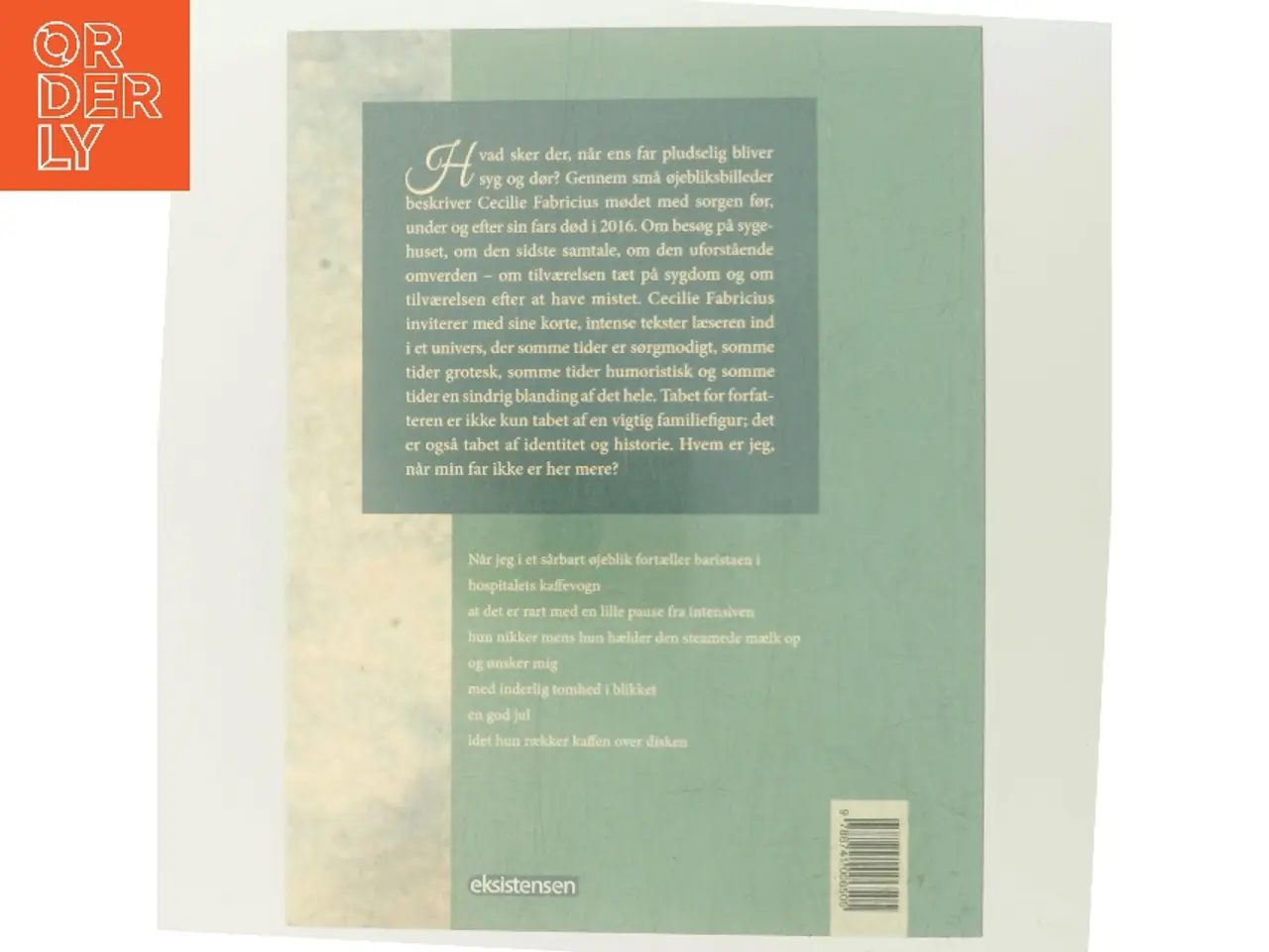 Billede 3 - Tænker du stadig meget på dét : fortællinger om sorg af Cecilie Fabricius (f. 1983) (Bog)