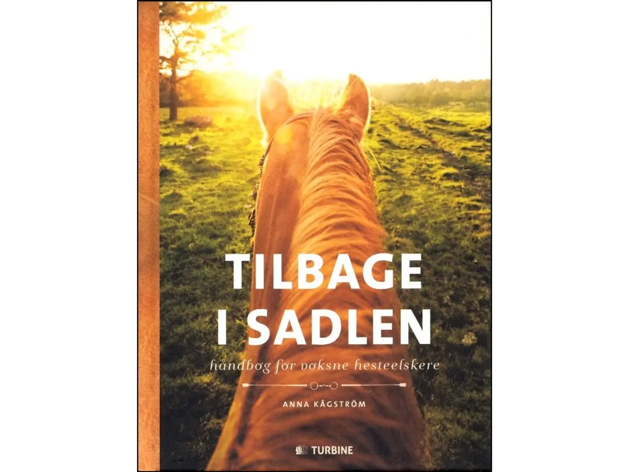 Billede 1 - Tilbage i Sadlen