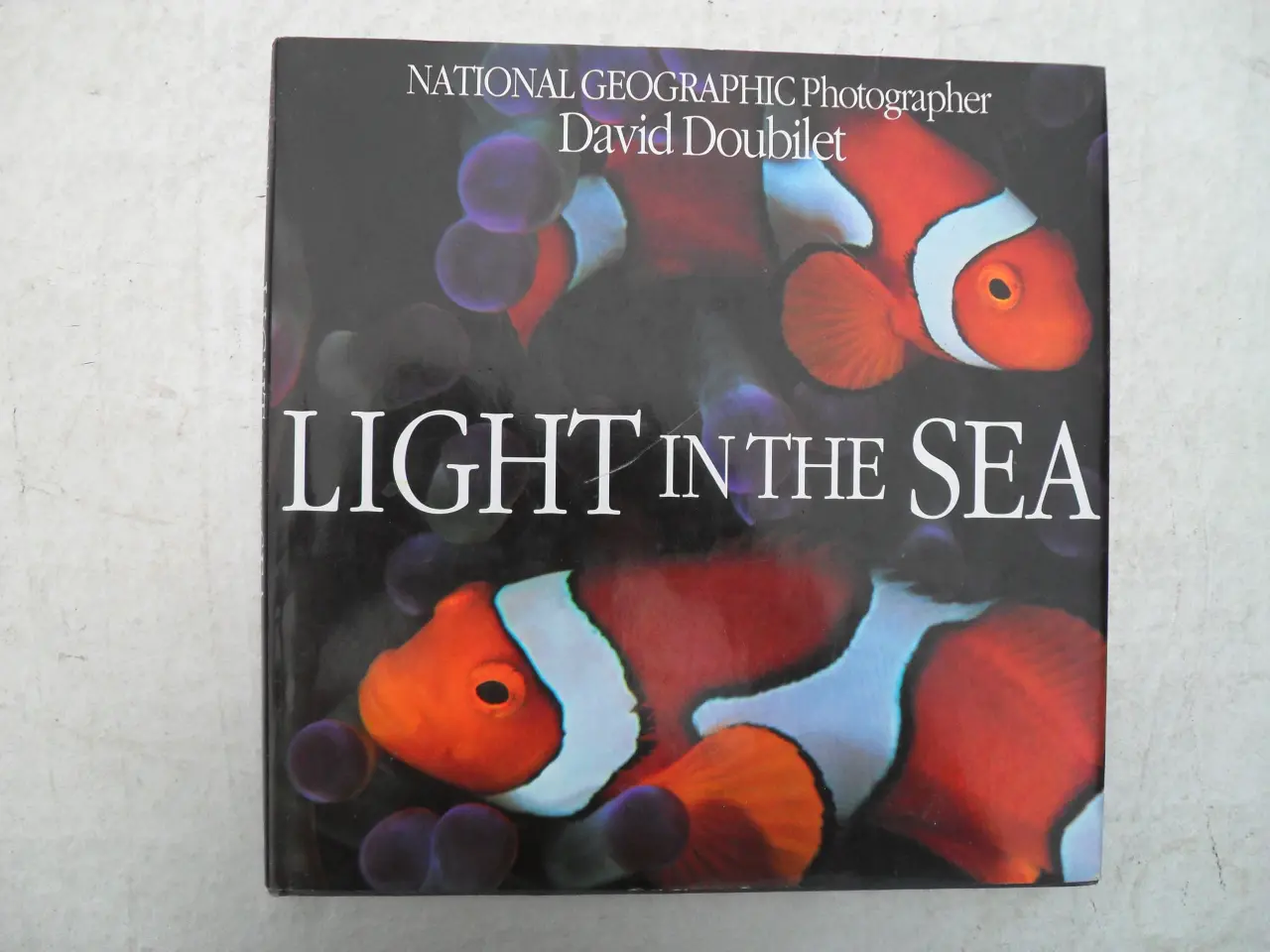 Billede 1 - light in the sea af david doubilet