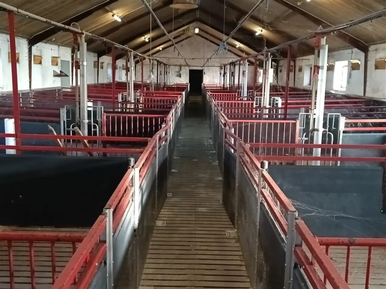 Billede 1 - - - - Inventar/stier plast/rustfri 27 stk.