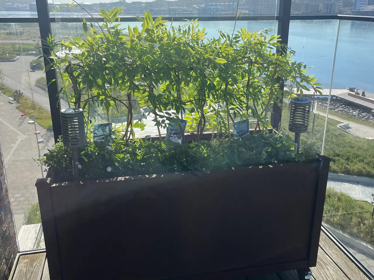 Billede 5 - Plantekasser i cortensstål med glas sælges