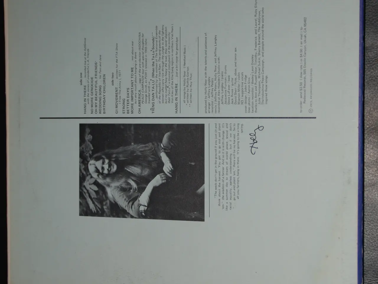 Billede 2 - Vinylplade - Nolly Near