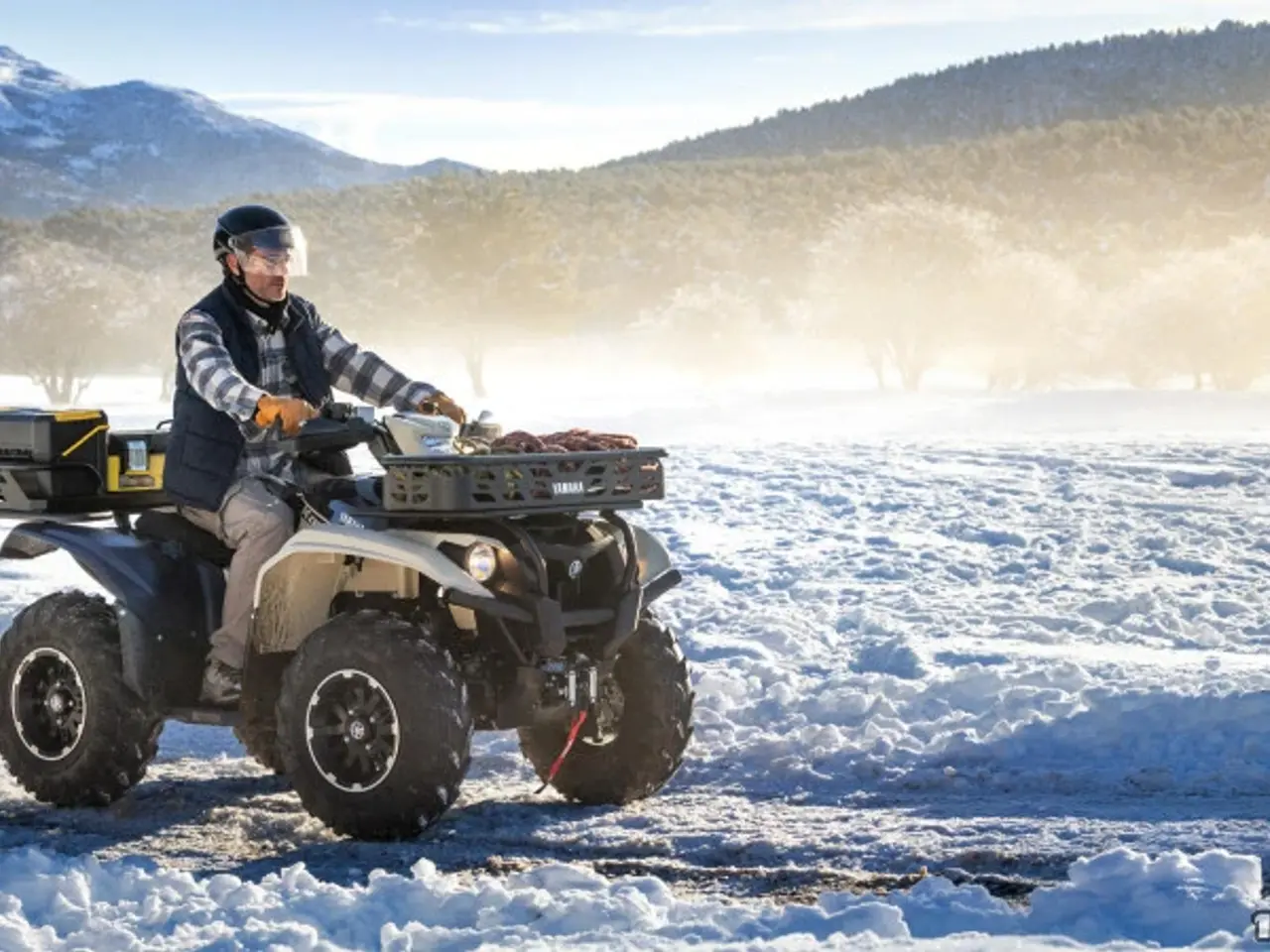 Billede 4 - Yamaha Kodiak 700 EPS Kiwami