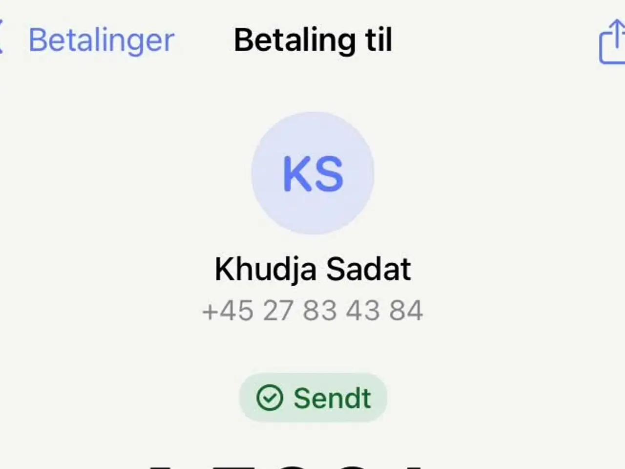 Billede 6 - Kay Bojesen Abe stor