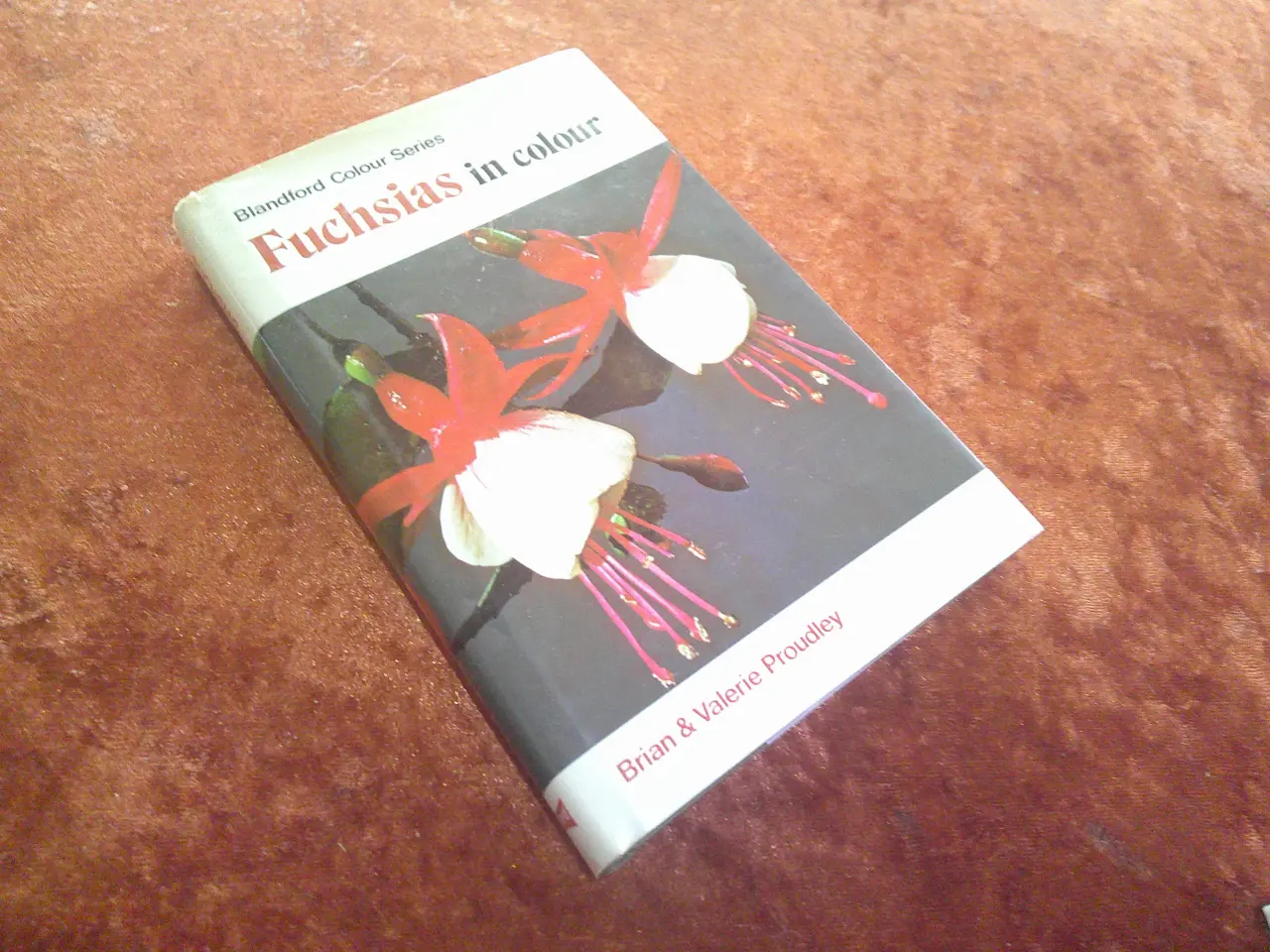 Billede 1 - Fuchsias in Color, Brian Proudley, 