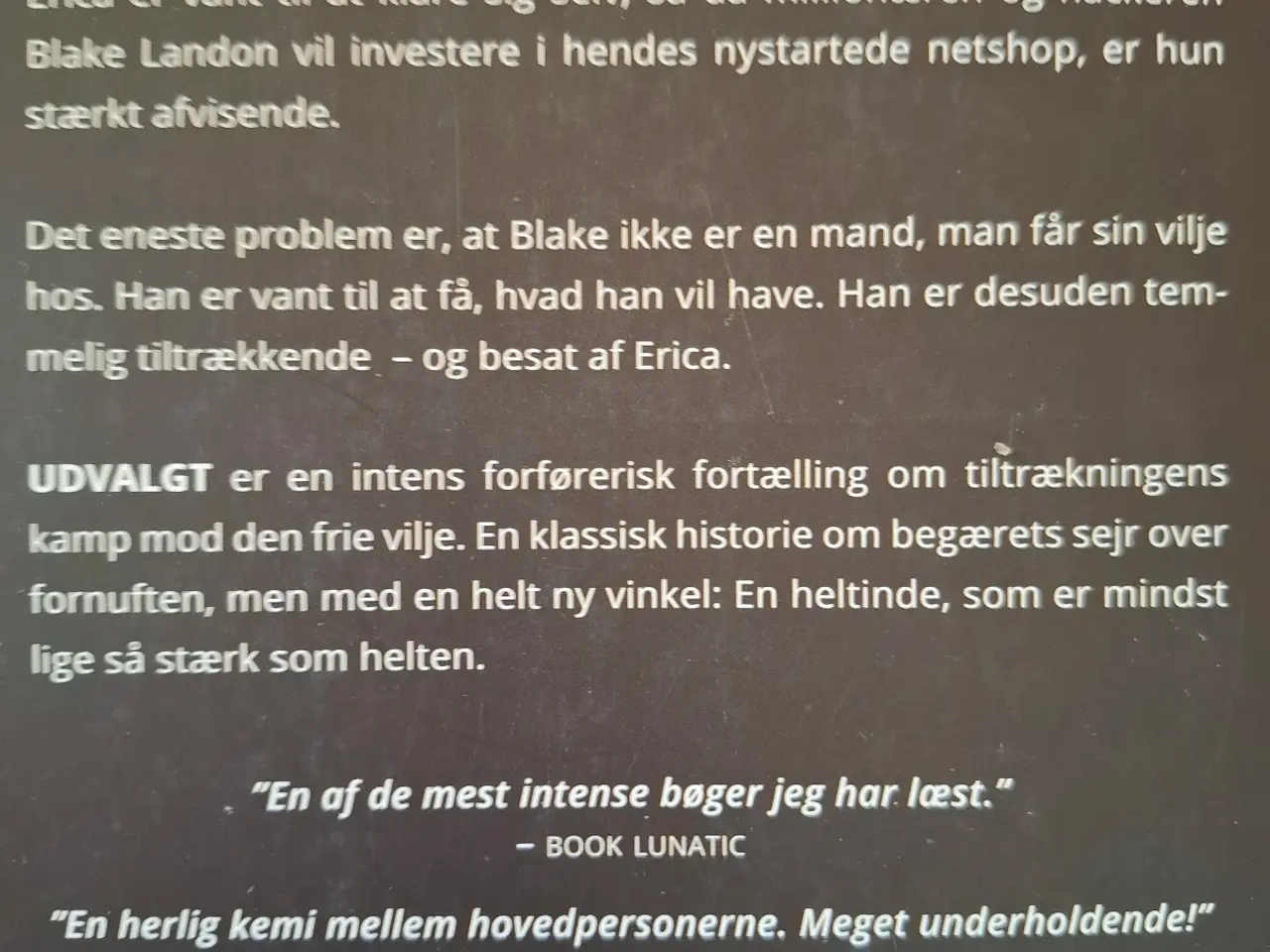 Billede 3 - Udvalgt