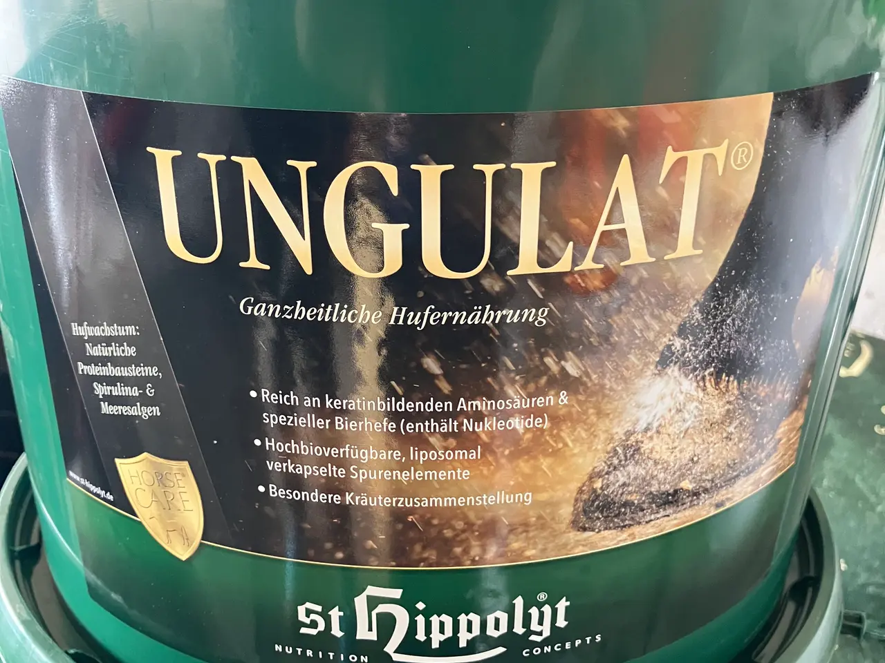 Billede 1 - St. Hippolyt ungulat