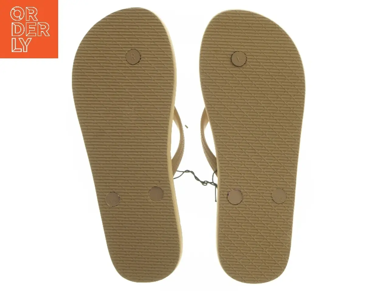 Billede 3 - Brune klipklappere (str. 38-39 cm)
