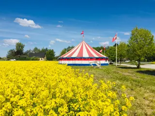 Cirkustelt