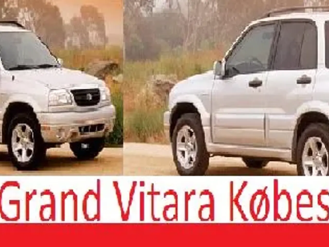 Billede 8 - Toyota Picnic Købes