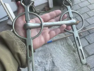 Stangbid