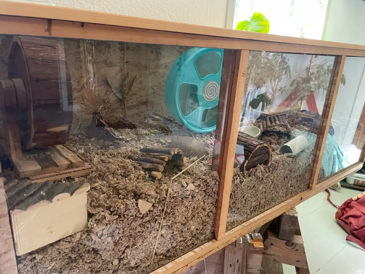 Billede 3 - Stort bur til hamster/gnaver