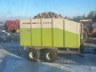 Bøg og eg